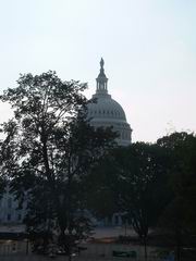 klick hier um das Foto in gro&szlig; zu sehen