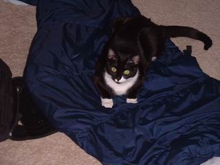 klick hier um das Foto in gro&szlig; zu sehen