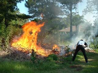 klick hier um das Foto in gro&szlig; zu sehen (123 kb)