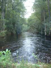 klick hier um das Foto in gro&szlig; zu sehen (82 kb)